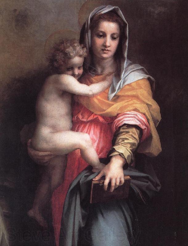 Andrea del Sarto Madonna of the Harpies (detail)  fgfg Norge oil painting art